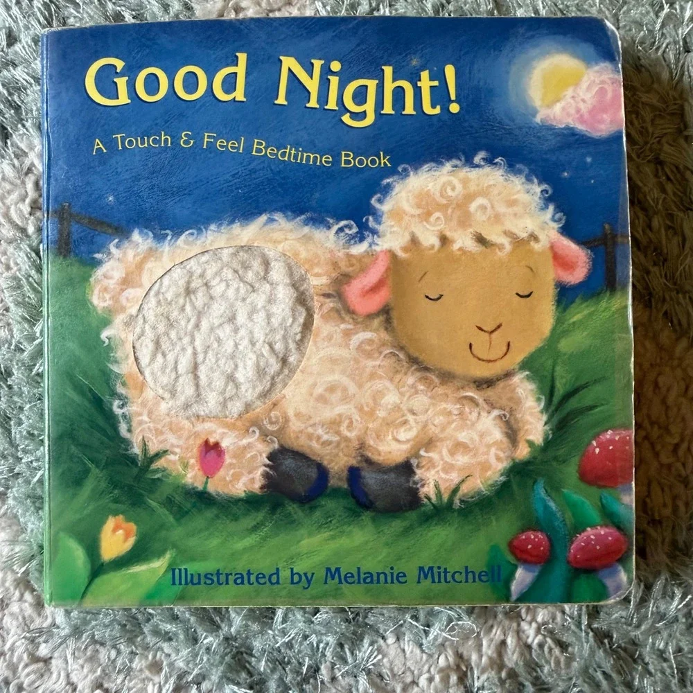 Good Night!, Melanie Mitchell Touch & Feel Bedtime Board Book 9781581177091